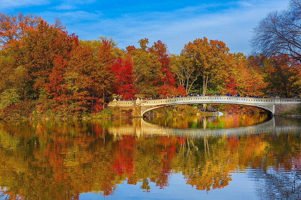 Foot bridge in Central Park in fall